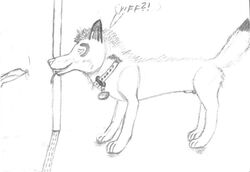 animal atrox canine canine_penis collar feral furry furry_only gay greyscale interspecies knot line_art lsf_4 male monochrome no_humans oral original original_character pencils penis precum shower tail wachhund wolf