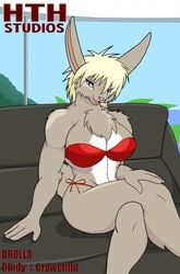 anthro cindy cindy_(hth) crowchild crowchild-85 crowchild85 crowchild87 droll3 female fur furry high_tail_hall hth_studios lagomorph rabbit solo swimsuit