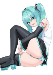 hatsune miku from vocaloid