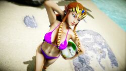 Zelda (Twilight Princess) Rule 34 Image