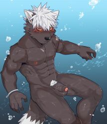 abs balls blush canid canine canis domestic_dog erection genitals hair lifewonders luwei_(artist) male male_only mammal muscular muscular_male nipples penis pubes red_eyes solo tadatomo tokyo_afterschool_summoners underwater video_games water white_hair yellow_sclera