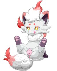 animal_genitalia animal_pussy anus canine_pussy female feral genitals hi_res hisuian_form hisuian_zorua lewdkitten069 nintendo pink_pussy pokémon_(species) pokemon pokemon_(species) pussy regional_form_(pokemon) simple_background solo spread_legs spreading tongue tongue_out video_games white_background white_body yellow_eyes zorua