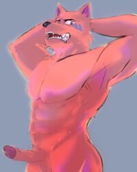 abs absurd_res anthro barazoku canid canine canis clothed clothing feral genitals hi_res humanoid male male/male mammal muscular muscular_anthro muscular_male nude pecs penis solo topless topless_male wolf zartty_art