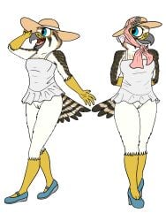 absurd_res american_kestrel anthro avian bird bonnet bottomless bottomless_female clothed clothing cute_expression dress evy_(fish_birb) falcon falconid female fish_birb footwear genitals hat headgear headwear hi_res kestrel public public_nudity pussy summer sundress