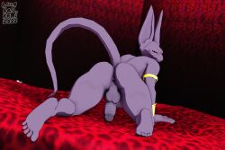 3d 3d_(artwork) anthro backsack balls beerus big_ears boner dragon_ball dragon_ball_super erection feline furry gay male male_only nude okami-san1500_(artist) penis solo solo_male sphynx_(cat) tail