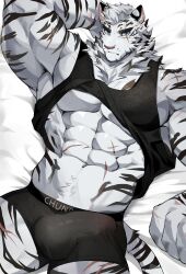 2022 absurd_res anthro arknights black_clothing black_topwear black_underwear bulge chung0_0 clothed clothing eye_scar facial_scar felid fur hi_res hypergryph lying male male_only mammal mountain_(arknights) muscular muscular_anthro muscular_male on_back pantherine scar solo striped_body striped_fur stripes studio_montagne tiger topwear underwear video_games