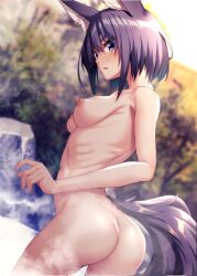 animal_ears ass blue_eyes breasts completely_nude day dosu_(doseven) female looking_at_viewer nipples nude onsen original outdoors purple_hair ribs short_hair solo steam tail wading