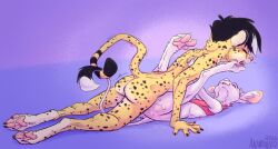 1boy1girl animancer ass cheetah dipodid felid feline hi_res jerboa kyyanno luck_(animancer) male male/female mammal paws rodent sex tail_curl