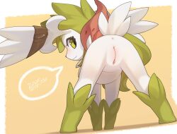 absurd_res anus ass female feral genitals hi_res legendary_pokemon looking_at_viewer nintendo pokémon_(species) pokemon pokemon_(species) pussy rear_view shaymin sky_forme_shaymin solo video_games white_body zinfyu