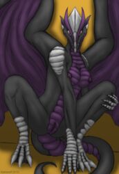 breasts dragon female kalnareff nipples nude purple_skin scalie sketch solo vyrane wings