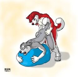 anal bask bean_bag bean_bag_chair bent_over canine closed_eyes couple erection exercise_ball furry furry_only gay grey_fur husky male nude open_mouth pain penis raised_tail red tail white_background