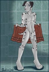 1boy 2010 black_nose blue_eyes canine dalmatian machina_(artist) male male_only nude penis sheath solo towel