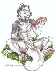 1boy 2009 balls blue_eyes canine collar football grass male male_only nude pawpads penis semi-erect sheath sitting solo spread_legs spreading wielder