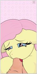 1:2 duo equid equine female fluttershy_(mlp) friendship_is_magic hasbro horse humanoid male male/female mammal moogibis my_little_pony pony straight_hair