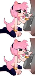 amy_rose anon cum dead_source gaturo pink_fur pink_hair sonic_(series) stockings straight