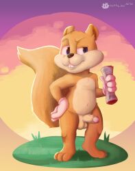 anthro balls blue_eyes casual_nudity conker conker's_bad_fur_day countershading erection fur genitals hi_res humanoid_genitalia humanoid_penis looking_at_viewer male male_only mammal nude nutty_bo outside penis public rareware rodent sciurid simple_background solo video_games