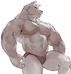 anthro bara belly biceps bottomwear boxer_briefs bulge mammal moobs muscular muscular_male original papyuuno pecs underwear unknown_character wolf