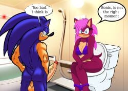 anthro ass big_penis breasts busty calling cum edit female furry incest male penis pink_fur pussy sega sonia_the_hedgehog sonic_(series) sonic_the_hedgehog sonic_underground
