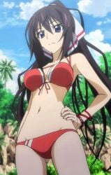 1girls big_breasts bikini blue_eyes breasts brown_hair busty cleavage female female_only hair_ribbon hand_on_hip hi_res infinite_stratos large_breasts legs long_hair ponytail pose red_bikini ribbon shinonono_houki smile solo stitched swimsuit thighs third-party_edit