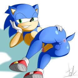 sonic the hedgehog from sega by lechugansfw
