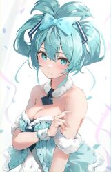 hatsune miku from vocaloid