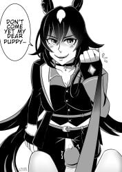 Sirius Symboli (Umamusume) Rule 34 Image