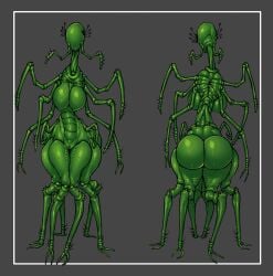 1girls Rule 34 Image