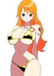 Nami (One Piece) Rule 34 Image