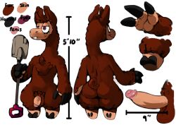 anthro ass balls big_butt big_penis bittenhard brown_body brown_fur buckteeth bucky_sprouts camelid chest_tuft close-up crotch_tuft digital_media_(artwork) english_text erection eyelashes fingers fluffy fluffy_tail foreskin fur genitals half-closed_eyes hi_res holding_object hooved_fingers hooves llama long_neck male male_only mammal model_sheet narrowed_eyes nude penis pupils purple_eyes short_tail shovel smile solo spade teeth text thick_thighs tools tuft uncircumcised unusual_pupils wide_hips