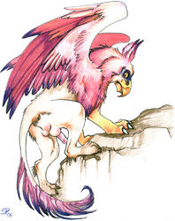 1boy 2005 avian feral gryphon male male_only skulldog solo