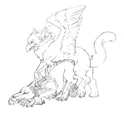 ambiguous_gender avian beak canine couple feral gryphon interspecies male male/ambiguous monochrome penetration quicksaberflash runa_(character) sex sketch white_background wings wolf