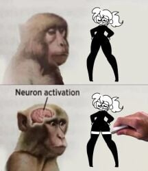 not_porn doremianc iconic meme_origin thighhighs erasing_clothes bodysuit neuron_activation_(meme) monkey long_legs glasses