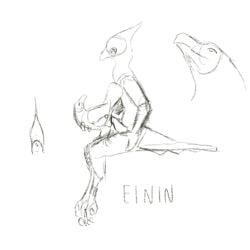 ambiguous_gender animated anthro anthro_on_feral anthro_penetrating avian beak bestiality bird claws cloacal cloacal_penetration corvid duo einin extreme_penetration feathered_crest feathers feral feral_penetrated genitals head_crest internal looking_pleasured male on_lap oscine passerine penetration penile penile_penetration penis signature size_difference tapering_penis x-ray_view