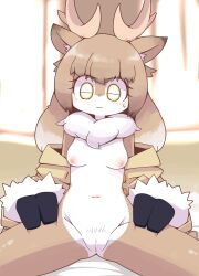 2023 anthro antlers areola arm_tuft biped breasts brown_body brown_fur cel_shading chest_tuft clothed clothing crepix deer digital_drawing_(artwork) digital_media_(artwork) female female_anthro front_view fur fur_tuft genitals hands_on_legs hi_res horn inner_ear_fluff innie_vulva looking_down looking_down_at_genitalia mammal medium_breasts mostly_nude mostly_nude_anthro mostly_nude_female new_world_deer nipples open_clothing open_topwear pinup pose pubes reindeer shaded simple_background slim slim_anthro slim_female solo topwear tuft vulva white_body white_fur wrist_tuft yellow_eyes