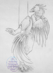 2010 avian bondage bird bondage collar curiodraco female nude plump_labia pussy raised_leg sketch solo spread_legs spreading