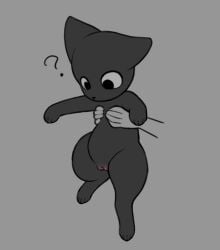 2026 black_body black_fur blush body_blush carrying_another digital_drawing_(artwork) digital_media_(artwork) disembodied_hand domestic_cat duo felid feline felis female female_feral female_focus feral feral_focus flat_colors fur genitals grey_background mammal mrmystery_guy oblivious paws quadruped question_mark simple_background solo_focus three-quarter_view vulva vulva_blush