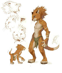 afd-yred anthro feline fur furry lion loincloth male male_only moomba underwear