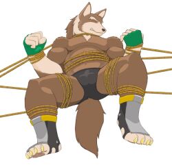 blush blush bondage embarrassed foot_fetish footjob furry furry_only gay gay_domination humping male male/male male_only piggyback rope rope_bondage squeeze squeezing submissive submissive_male tied_up