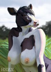 big_breasts bovid bovine breasts cattle female furry hedax hi_res light mammal meadow patch_(disambiguation) solo sunlight