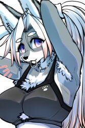 armpit_hair armpits arms_up big_breasts breasts female furry grey_fur hairband okami_bark ookamiwaho original ponytail purple_eyes sports_bra white_hair wolf