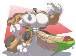 abs balls biceps cerulien47 furry gay hyper hyper_balls hyper_genitalia hyper_penis hyper_testicles male male_focus male_only muscles muscular muscular_arms muscular_ass muscular_back muscular_legs muscular_male muscular_thighs nipples pecs penis testicles veins veiny_penis