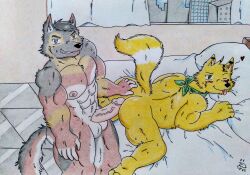 absurd_res anal anthro apartment balls bandana barazoku bed bedroom belly canid canine canis dashthefox domestic_dog duo fox furniture genitals german_shepherd grin herding_dog hi_res kerchief looking_at_viewer male male/male mammal musclegut muscular pastoral_dog pecs penetration penis slightly_chubby smile traditional_media_(artwork) yellow_body