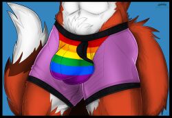 anthro bulge canid canine clothing fox grayspine male male_only mammal matthew_(oop1oop2) multicolored_clothing rainbow_clothing rainbow_pride_colors solo underwear