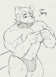 anthro big_muscles black_and_white blush bulge clothed clothing collar cute cute_male doggonut hi_res male male_only mammal marsupial monochrome muscular muscular_male pecs phalangeriform shy solo thisishomo topless