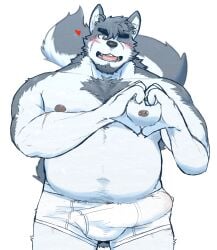 1boy 2022 anthro blush bodily_fluids bulge canid canine clothed clothing erection erection_under_clothing genital_fluids genital_outline hagom hi_res humanoid_hands kemono male male_only mammal moobs nipples one_eye_closed overweight overweight_male penis_outline precum scar solo underwear white_underwear wink