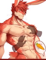 carrot male muscular rabbit ren_(rabbity)