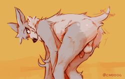 2022 anthro ass backsack balls bat bent_over chiropteran digital_media_(artwork) fur genitals grey_body grey_fur humanoid_genitalia humanoid_penis lawyerdog male mammal penis perineum pinup pose smile solo tail_motion tailwag