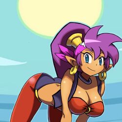 pirate shantae from shantae