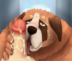 2022 absurd_res anthro balls bodily_fluids brown_body brown_fur canid canine canis cum cum_on_face cum_on_penis domestic_dog duo erection fur genital_fluids genitals hi_res humanoid_genitalia humanoid_hands humanoid_penis licking male mammal oral penile penis penis_lick saint_bernard sato_afroleone sex solo_focus tongue tongue_out