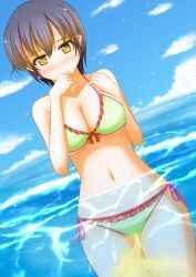 beach bikini bikini_bottom bikini_top blush green_bikini large_breasts nervous peeing peeing_in_swimsuit peeing_in_water peeing_self peeing_underwater pullpull15 swimsuit swimwear urinating_female water watersports wetting wetting_clothing wetting_self